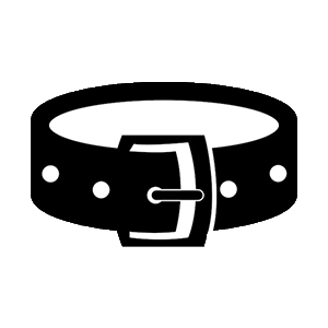 LV Belts & Accessories